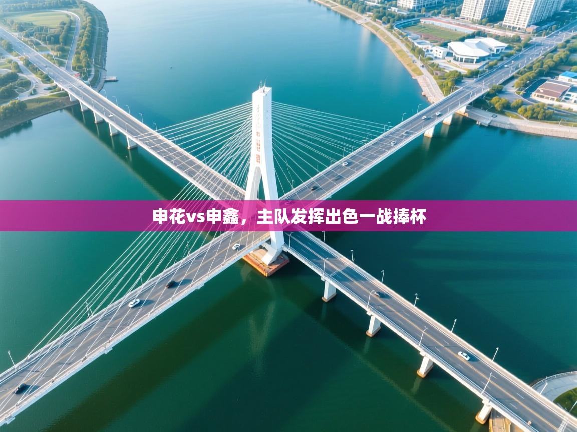 申花vs申鑫,主队发挥出色一战捧杯 第1张