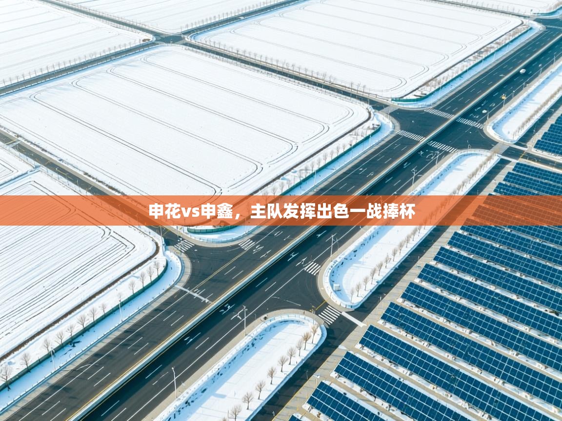 申花vs申鑫,主队发挥出色一战捧杯 第2张