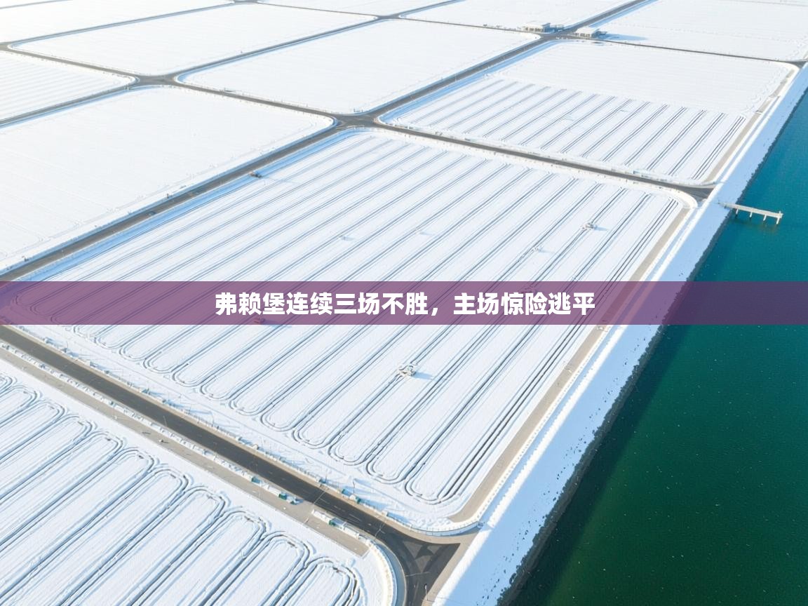 弗赖堡连续三场不胜，主场惊险逃平  第1张