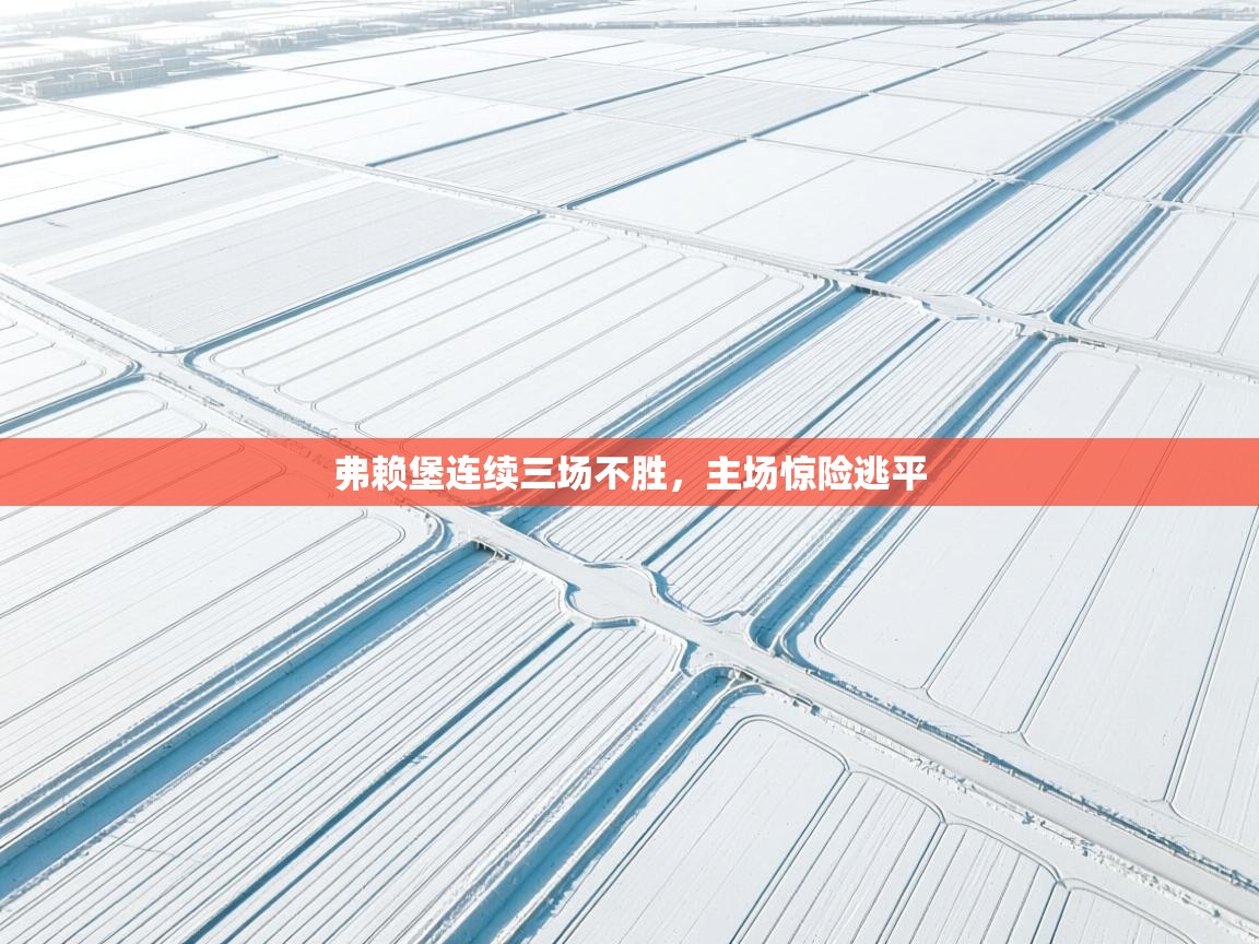 弗赖堡连续三场不胜，主场惊险逃平  第2张