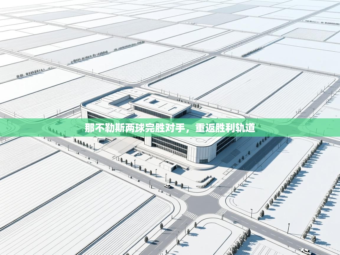 那不勒斯两球完胜对手，重返胜利轨道