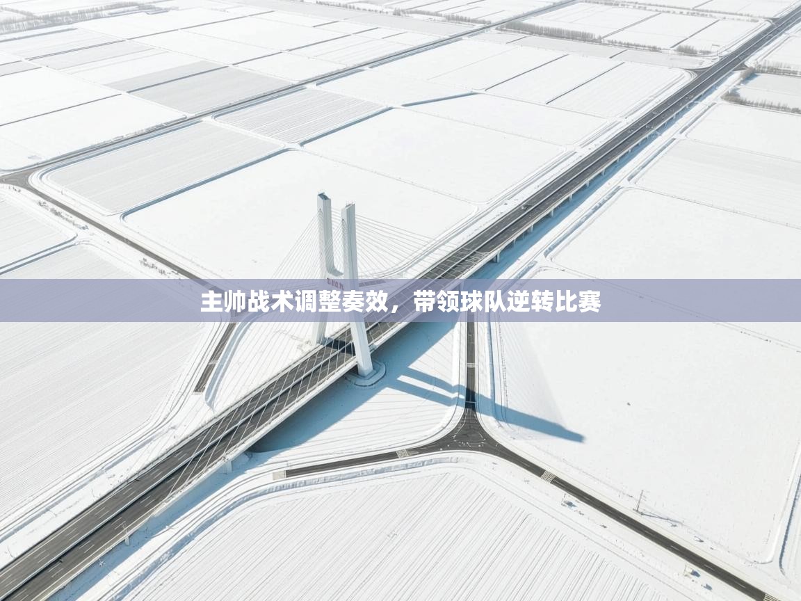 主帅战术调整奏效,带领球队逆转比赛 第2张